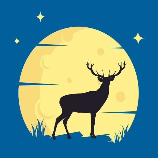 Damen T-Shirt-Deer Moon